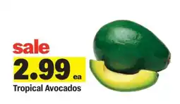 Meijer Tropical Avocados offer