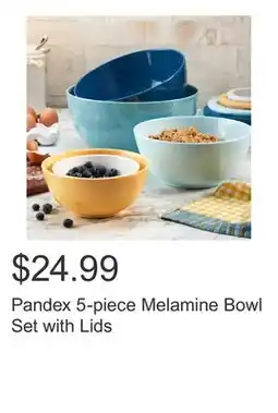 Costco Pandex 5-piece Melamine Bowl Set with Lids offer