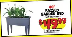 Ollie's 40 RAISED GARDEN BED offer