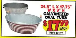 Ollie's 24.5 L X 17.75 W X 9 H GALVANIZED OVAL TUBS offer