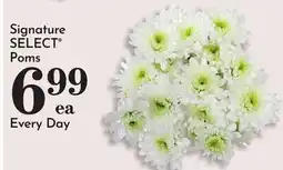 Pavilions Signature SELECT Poms offer