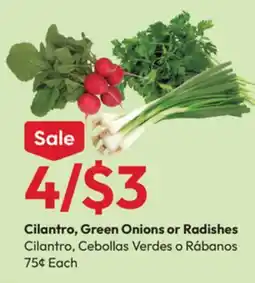 Stater Bros Cilantro, Green Onions or Radishes offer