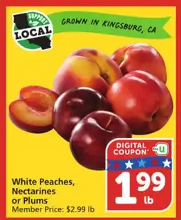 Albertsons White Peaches, Nectarines or Plums offer