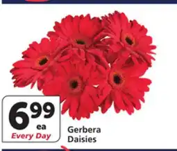 Albertsons Gerbera Daisies offer