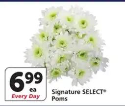 Albertsons Signature SELECT Poms offer