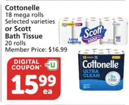 Albertsons Cottonelle 18 mega rolls Selected varieties or Scott Bath Tissue 20 rolls offer