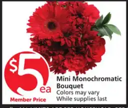 Albertsons Mini Monochromatic Bouquet offer
