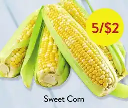 Fresh Thyme Sweet Corn offer