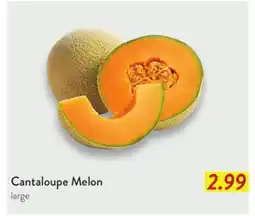 Fresh Thyme Cantaloupe Melon offer