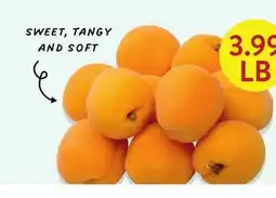 Fresh Thyme Fresh California Apricots offer