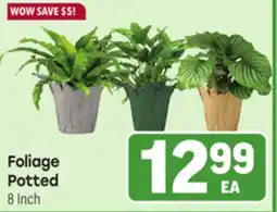 Tony’s Fresh Market Foliage Potted offer