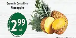 Rio Valley Market Pineapple offer