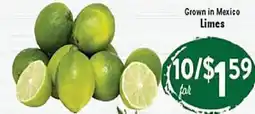 Rio Valley Market Limes offer