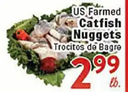 Rio Valley Market US Farm Catfish Nuggets offer