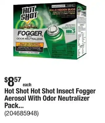 The Home Depot Hot Shot Hot Shot Insect Fogger Aerosol With Odor Neutralizer Pack... offer
