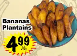 Superior Grocers Bananas Plantains offer