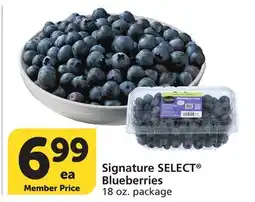 Albertsons Signature SELECT Blueberries offer
