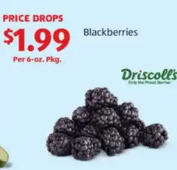 Aldi Driscoll's Blackberries offer