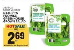 Food Lion NATURE’S PROMISE GREENHOUSE GROWN SALAD offer