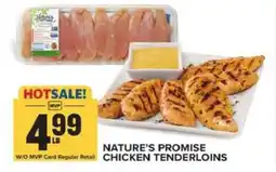 Food Lion Nature's Promise Chicken Tenderloins offer