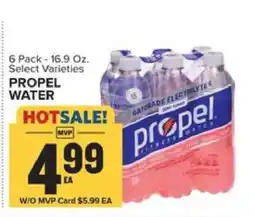 Food Lion Propel Water offer
