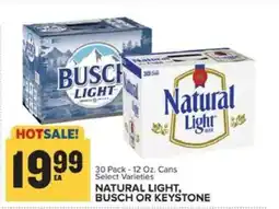 Food Lion NATURAL LIGHT, BUSCH OR KEYSTONE offer