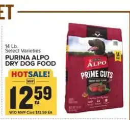Food Lion PURINA ALPO DRY DOG FOOD offer