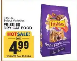 Food Lion Friskies Dry Cat Food offer