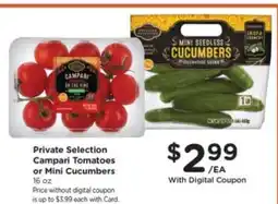 Pick'n Save Private Selection Campari Tomatoes or Mini Cucumbers offer