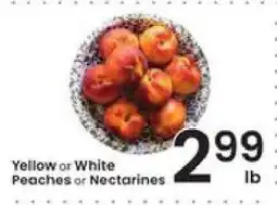 Albertsons Yellow or White Peaches or Nectarines offer