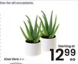 Albertsons Aloe Vera 4 in offer