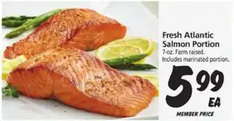 Fresh Atlantic Salmon Portion