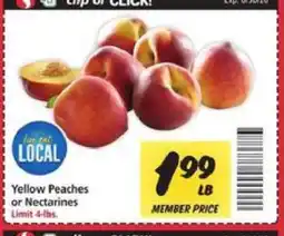 Safeway Yellow Peaches or Nectarines offer