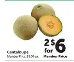 Safeway Cantaloupe offer