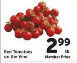 Safeway Red Tomatoes on the Vine offer