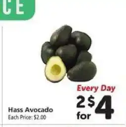 Safeway Hass Avocado offer