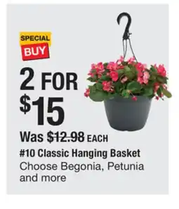 The Home Depot 10 Classic Hanging Basket offer