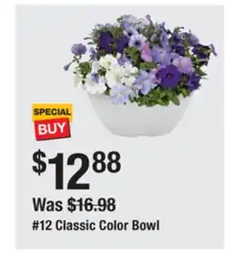 The Home Depot 12 Classic Color Bowl offer