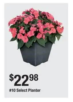 The Home Depot 10 Select Planter offer
