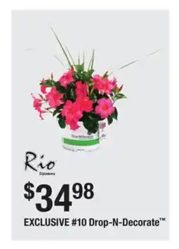 The Home Depot RIO EXCLUSIVE #10 Drop-N-Decorate offer