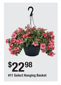 The Home Depot 11 Select Hanging Basket offer