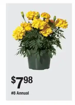 The Home Depot 8 Annual offer