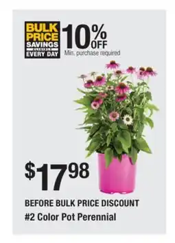 The Home Depot 2 Color Pot Perennial offer