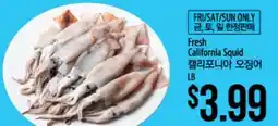 Hmart Fresh California Squid offer