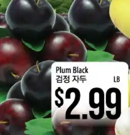 Hmart Plum Black offer