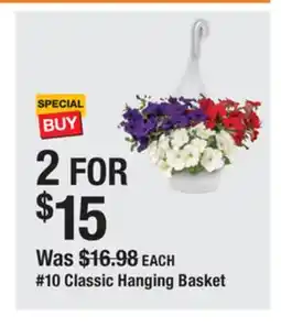 The Home Depot Classic Hanging Basket offer
