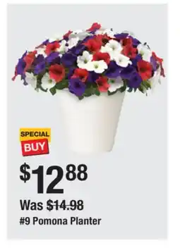 The Home Depot 9 Pomona Planter offer