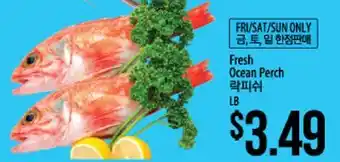 Hmart Fresh Ocean Perch offer