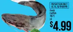 Hmart Fresh Catfish offer