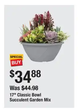 The Home Depot 17 Classic Bowl Succulent Garden Mix offer